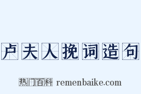 卢夫人挽词造句是什么意思的图片
